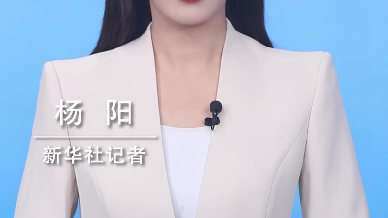 Kubernetes监控工具：如何选择最适合你的解决方案